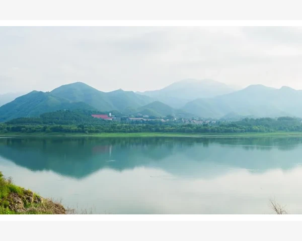 脾胃气滞：中药调理全方位，告别消化不良的困扰！