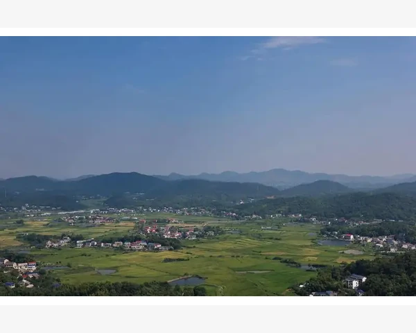 昆明天健会计师事务所服务特色与行业地位解析
